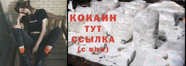 тгк Нея