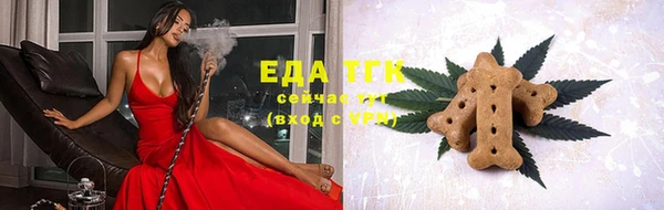тгк Нея