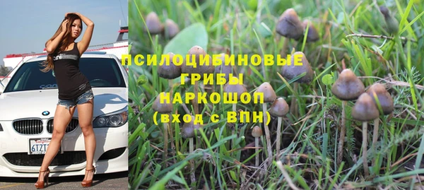 тгк Нея